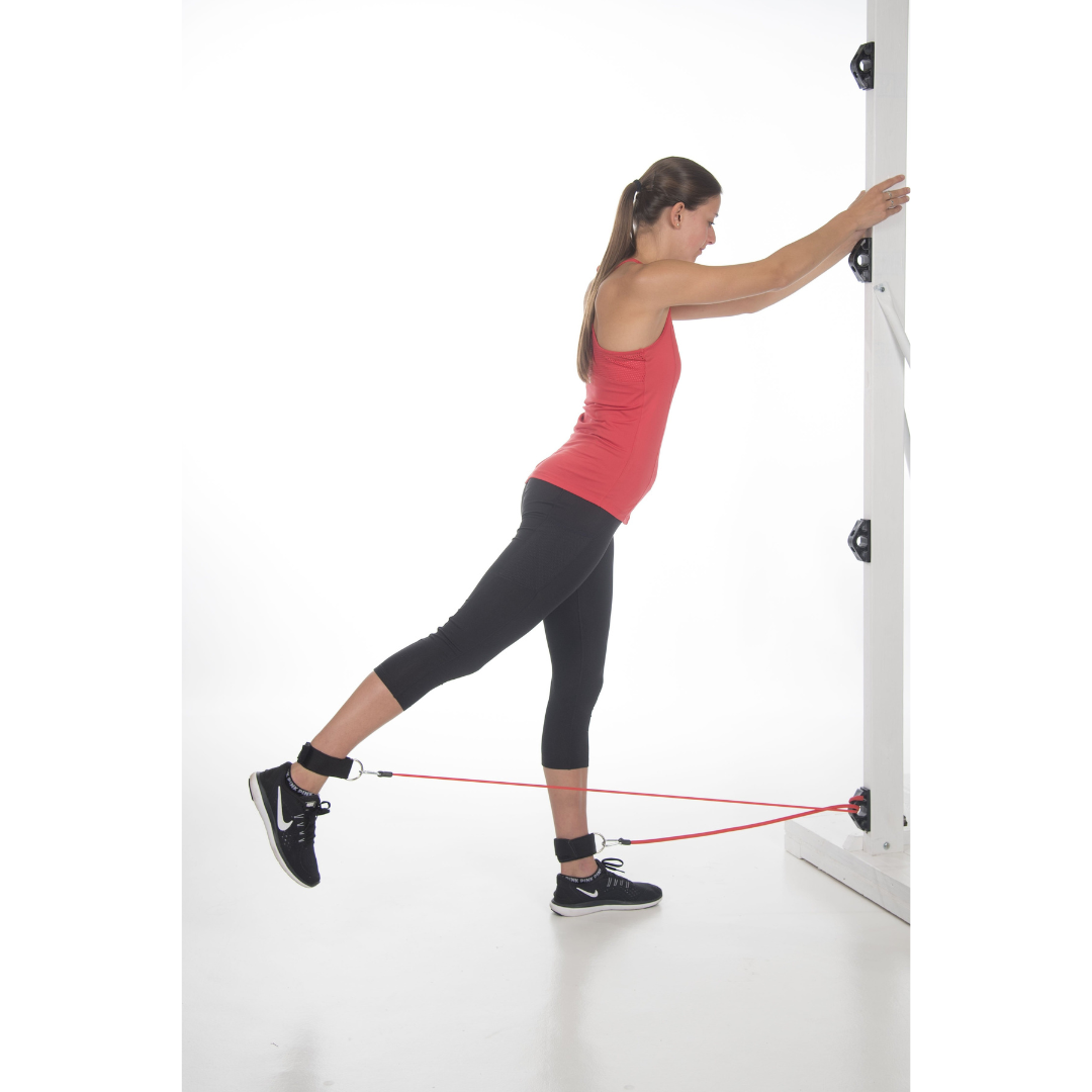 Bob and Brad Workout Wall Anchor