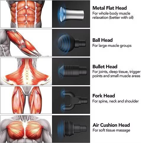 An informational comparison chart showing five massage head types: Metal Flat Head (for whole-body muscle relaxation), Ball Head (for large muscle groups), Bullet Head (for joints, deep tissue, trigger points, and small muscle areas), Fork Head (for spine, neck and shoulder), and Air Cushion Head. Each type is illustrated with a close-up of a human muscle group.