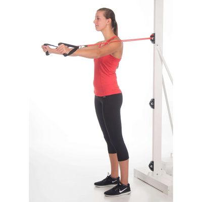 Bob and Brad Workout Wall Anchor