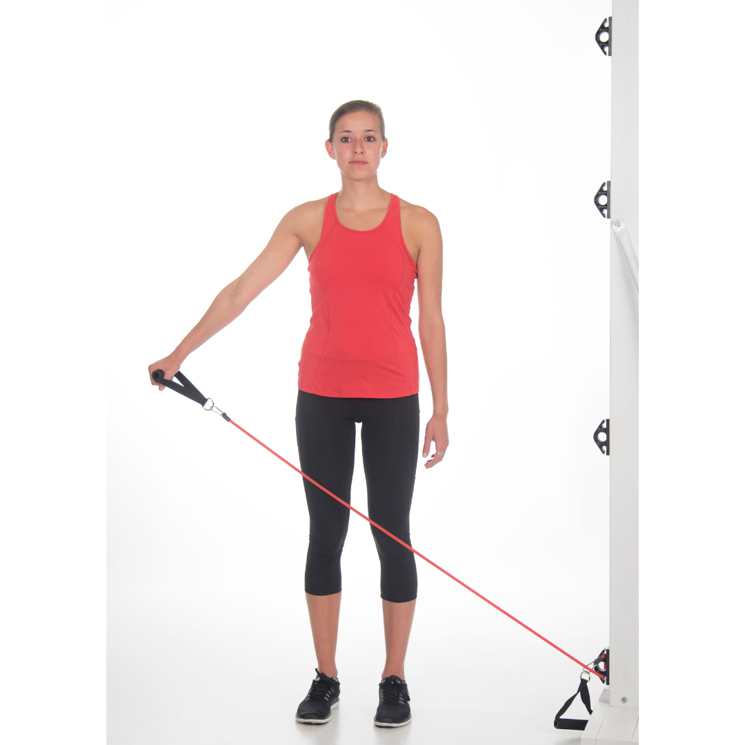 Bob and Brad Workout Wall Anchor