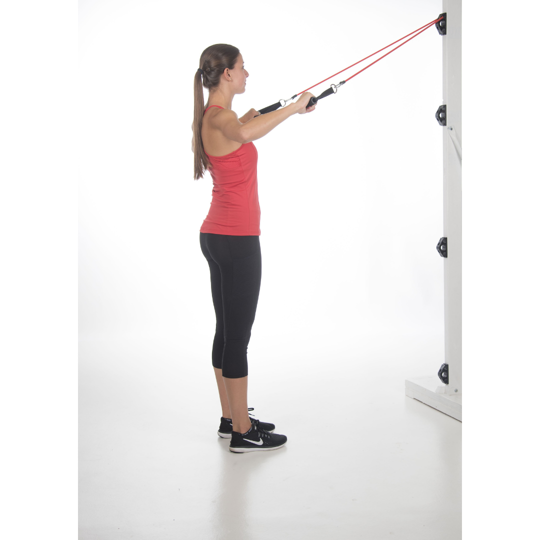 Bob and Brad Workout Wall Anchor